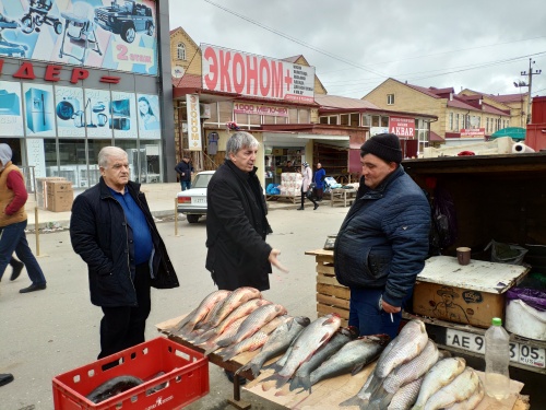Планируется создать межведомственную рабочую группу по пресечению фактов несанкционированной торговли