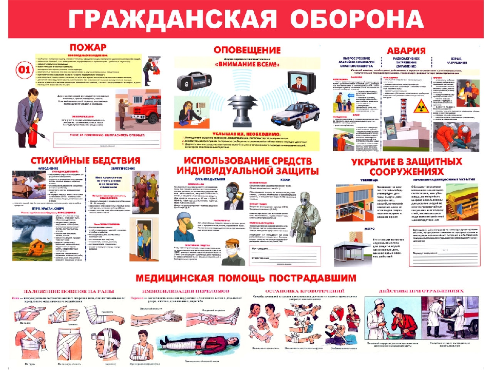 img7.jpg img7.jpg